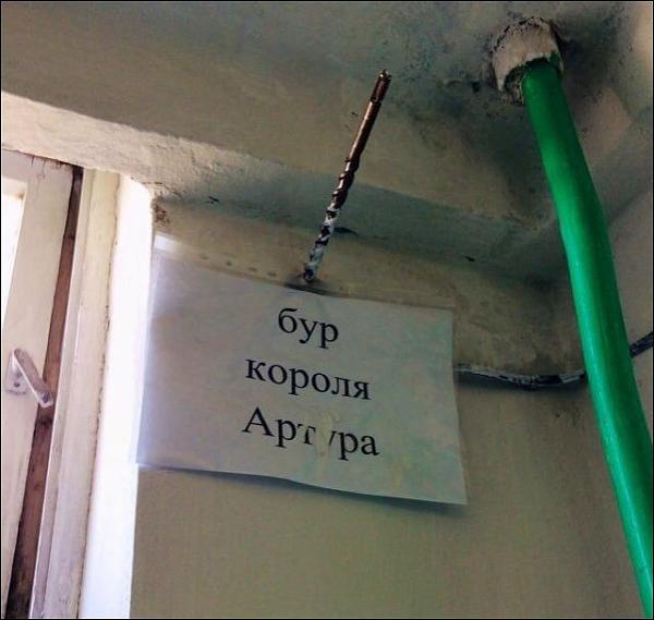 13272743.jpg