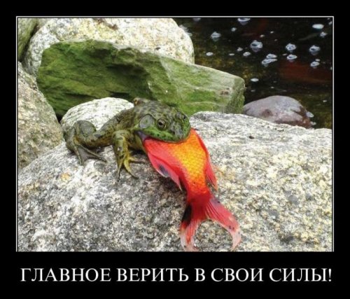 1330421861_demotivator-15.jpg