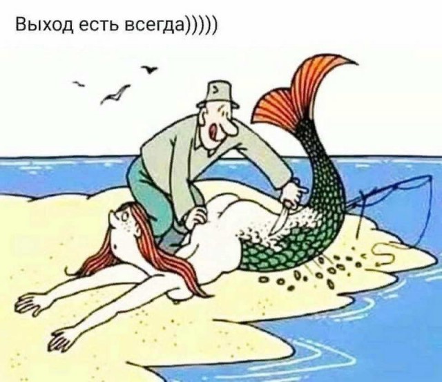 13304602.jpg