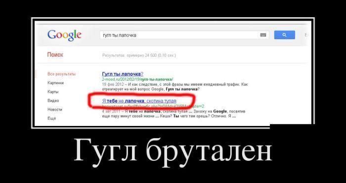 1341558553_009.jpg