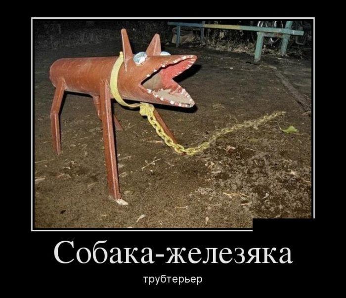 1356079114_0058.jpg