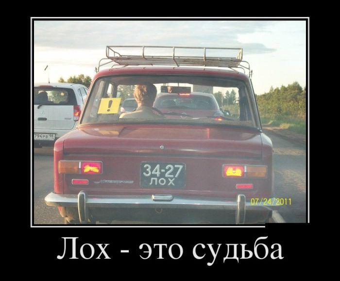 1356682219_00130.jpg