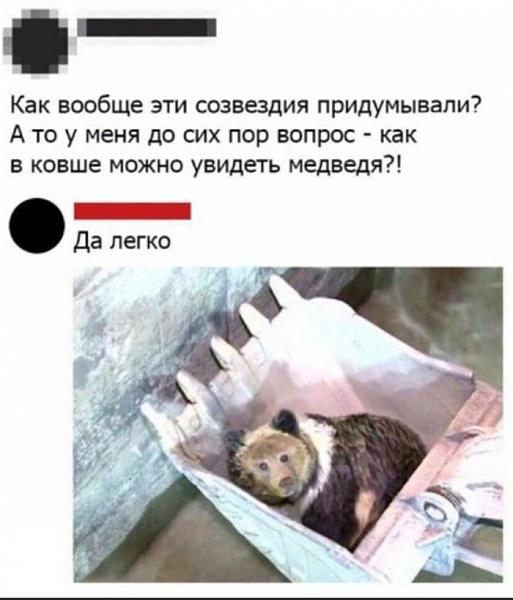 13607615.jpg