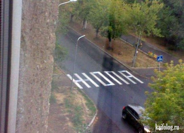 1365650515_049.jpg