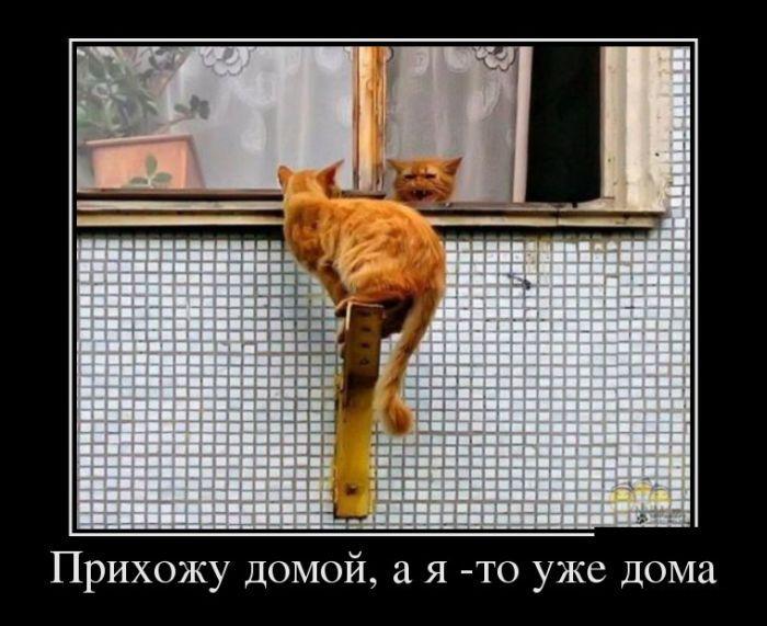 1372406798_0082.jpg