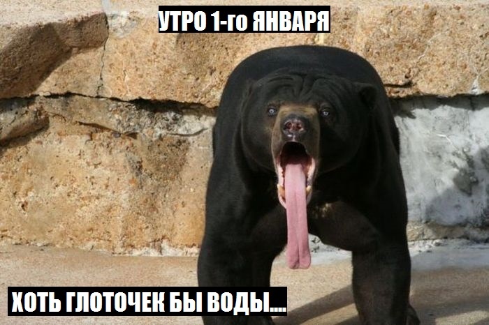 1388337849_z-14.jpg