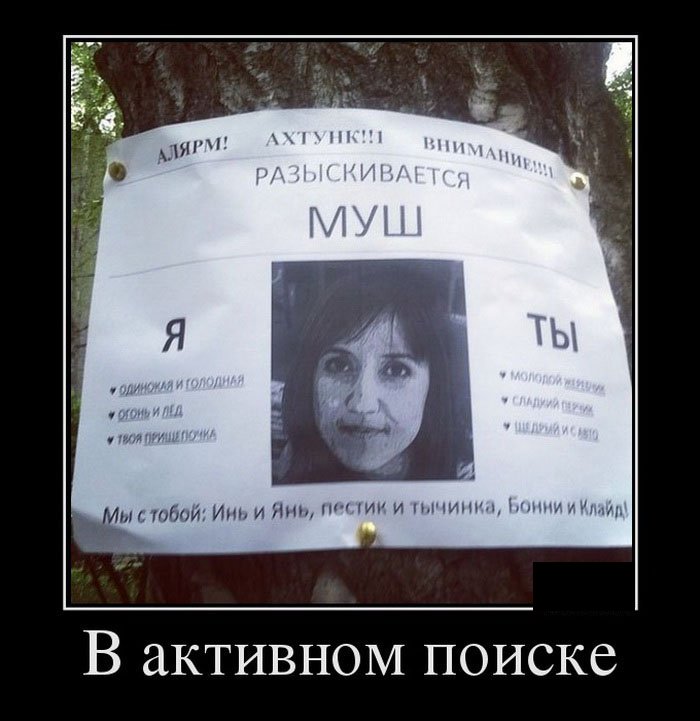 1404197448_004.jpg