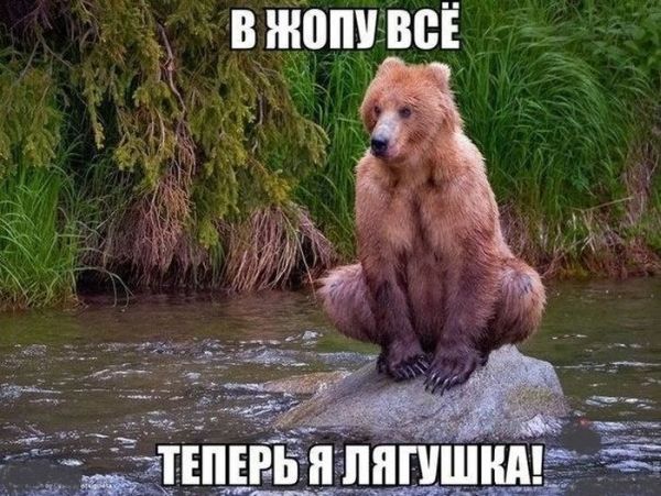 1407839526_z.jpg