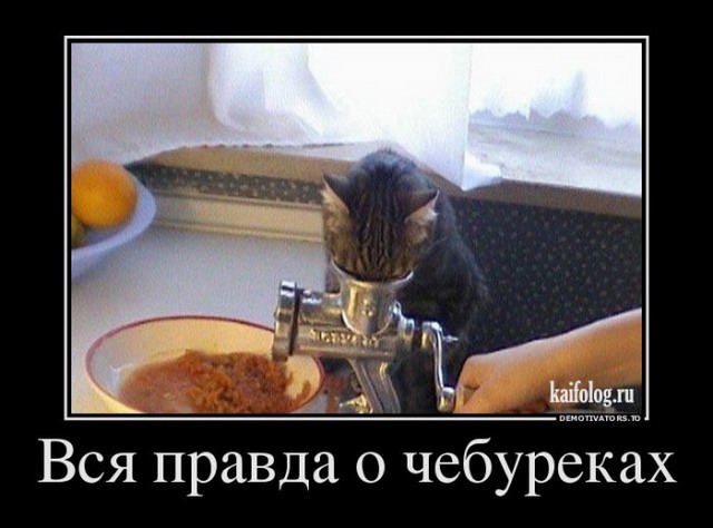 1418126892_017.jpg