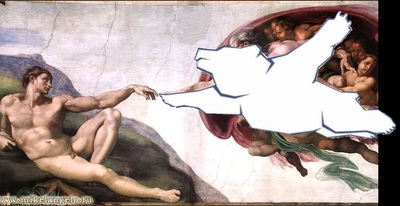 14224420009788.jpg