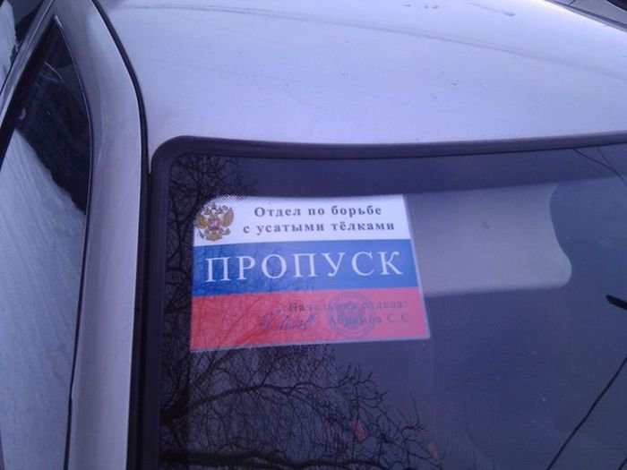 1423076528_podborka_43.jpg