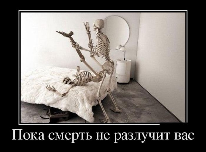 1426530821_26.jpg