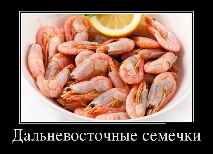 1426791503_22.jpg