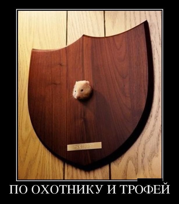 1428258163_12.jpg