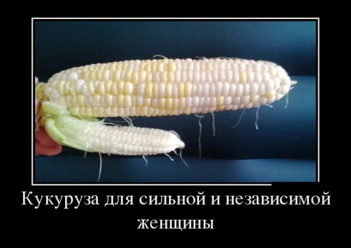 1439320229_26.jpg