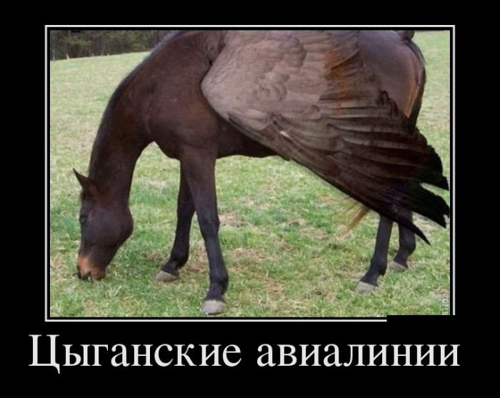 1439320242_21.jpg