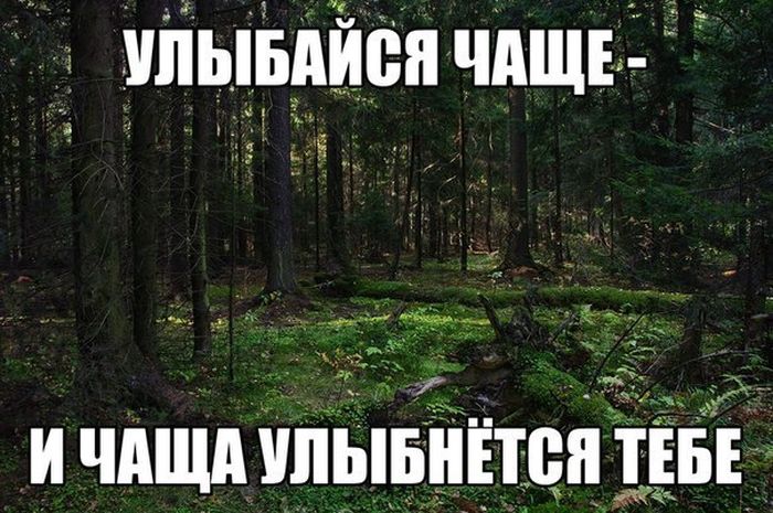 1442201266_03.jpg