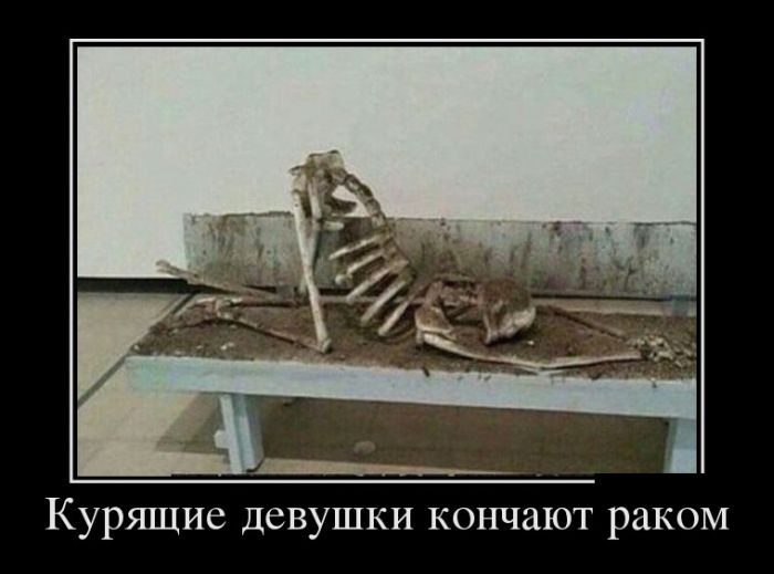 1443254070_demotivatory_30.jpg