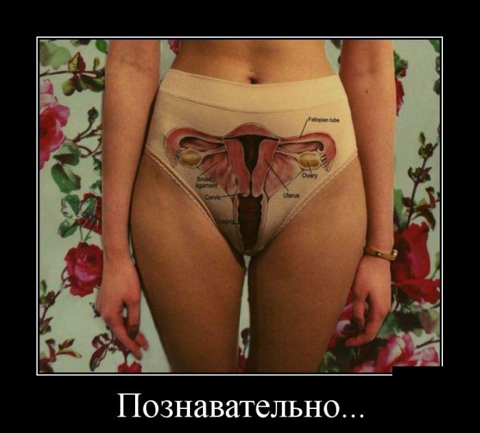 1446105379_demotivatory_24.jpg