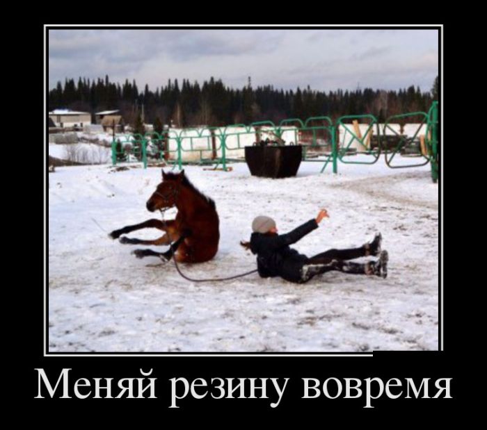 1447399867_demotivatory_11.jpg