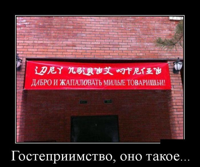1447812185_demotivatory_22.jpg