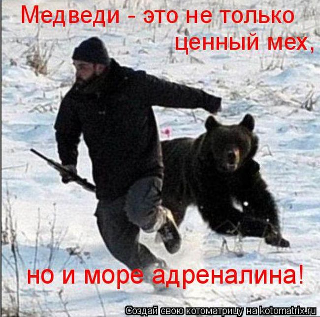 1448004721_kotomatrix_21.jpg