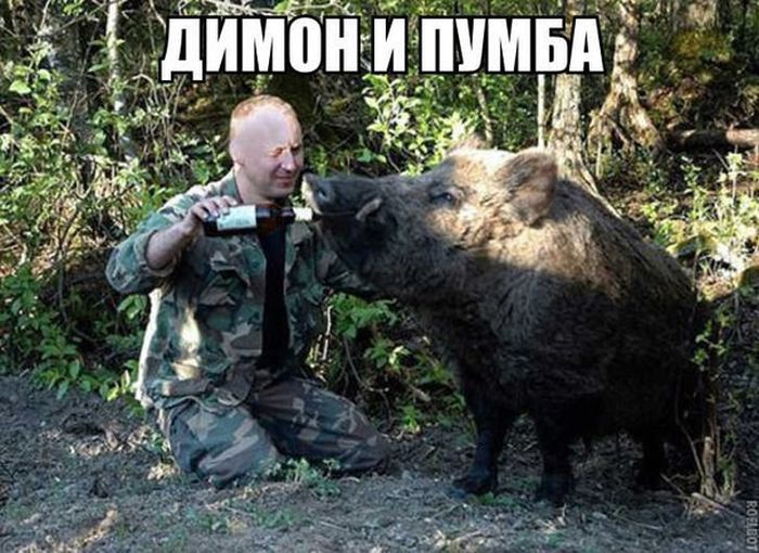 1448956224_podborka_vecher_29.jpg