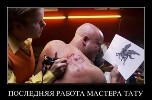 1456127934_demotivatory-11.jpg