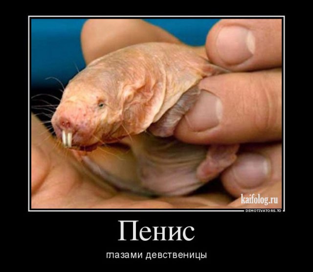 1476767135_052.jpg