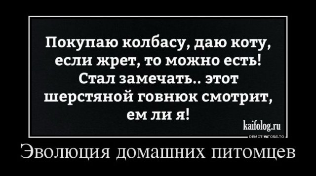 1481950096_010.jpg