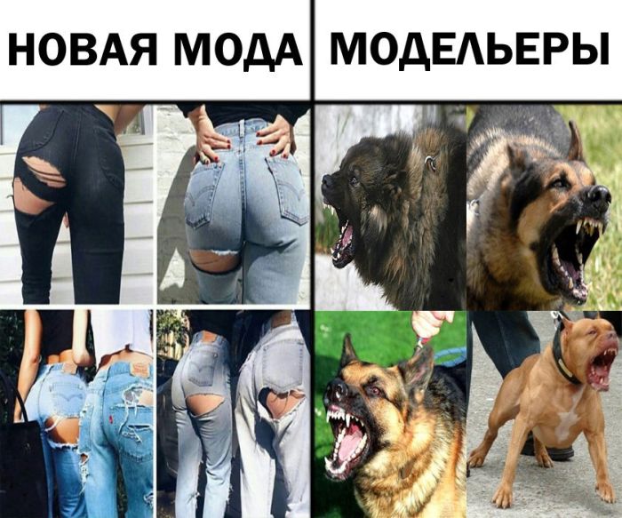 1484906354_podborka_dnevnaya_27.jpg