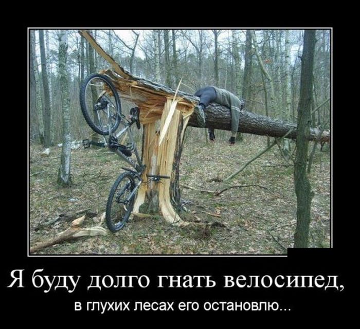 1487065223_demotiivatory_01.jpg