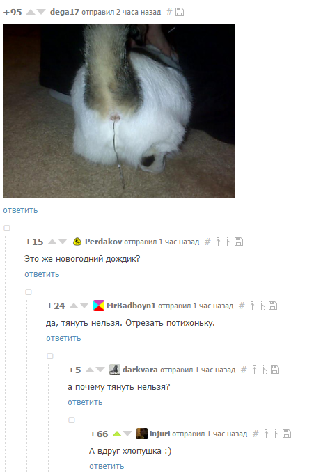 1487237652178810139.png
