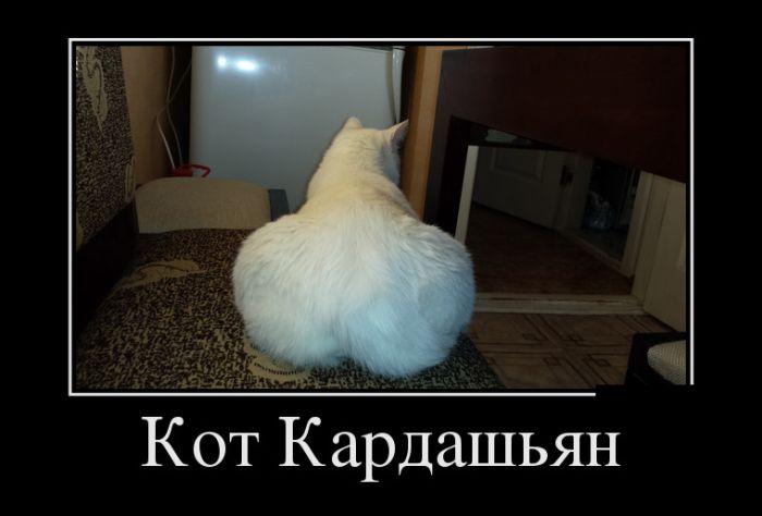 1489485219_demotivatory_16.jpg