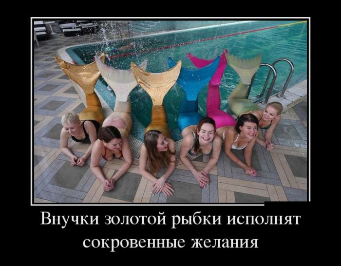 1490349420_demotivatory_10.jpg