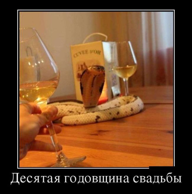 1490349458_demotivatory_17.jpg