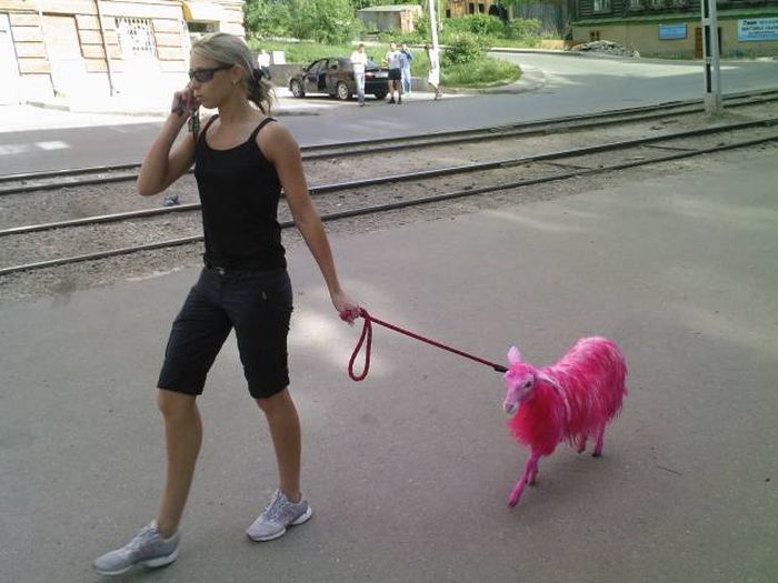 1491907215_wtf_russia_21.jpg