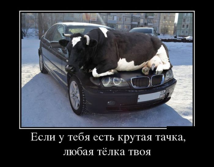 1493029728_demotivatory_07.jpg