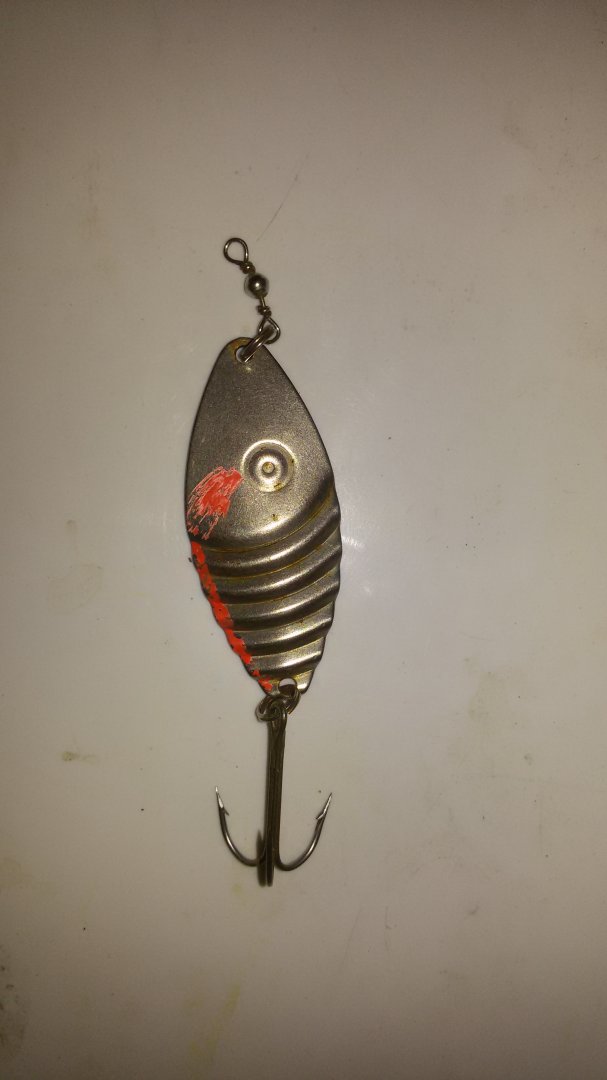 1494938401294-1392622488.jpg