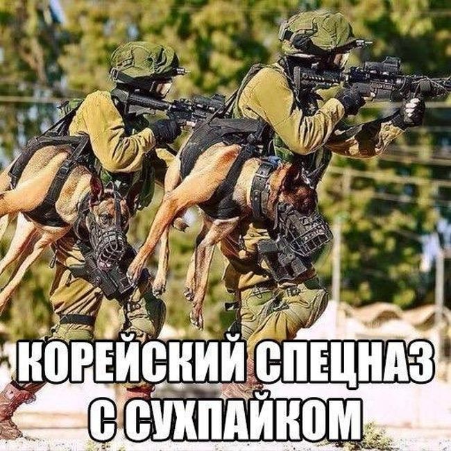 1495011635_strannie_prikoli_08.jpg