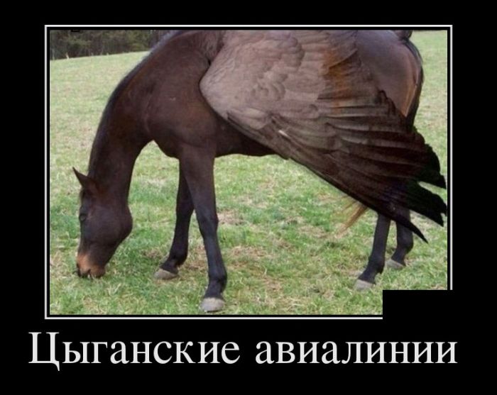 1496138731_demotivatory_27.jpg