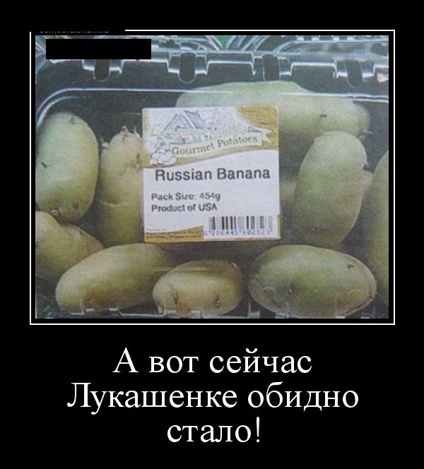 1496227083_demotivatory_12.jpg