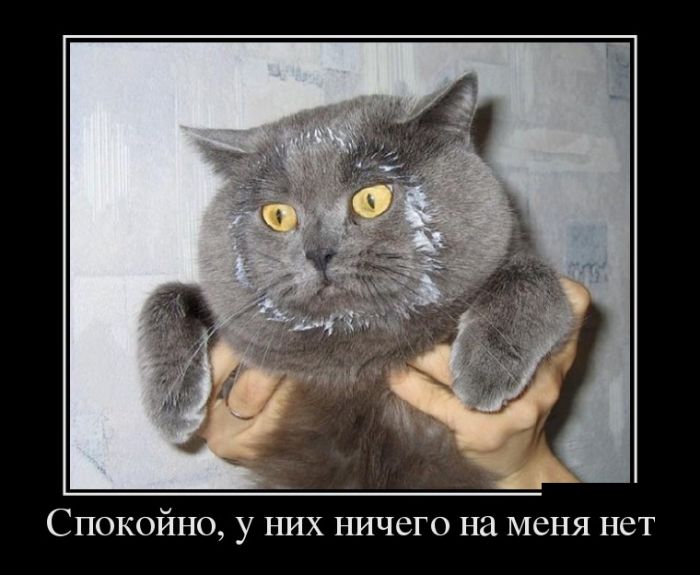 1496313729_demotivatory_10.jpg