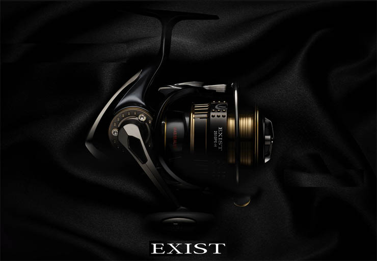 15-EXIST_ima1.jpg