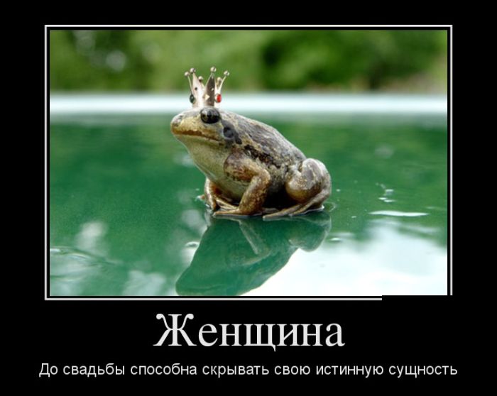1501490252_demotivatory_02.jpg