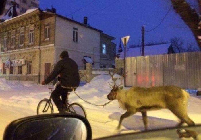 1502099868_weird_things_15.jpg