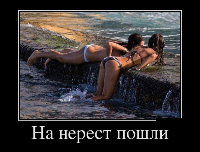 1502270865_demotivatory_13.jpg