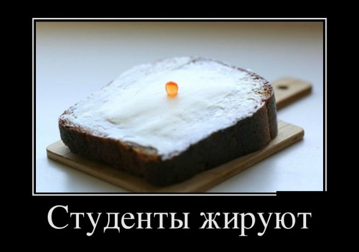 1502876568_demotivatory_11.jpg
