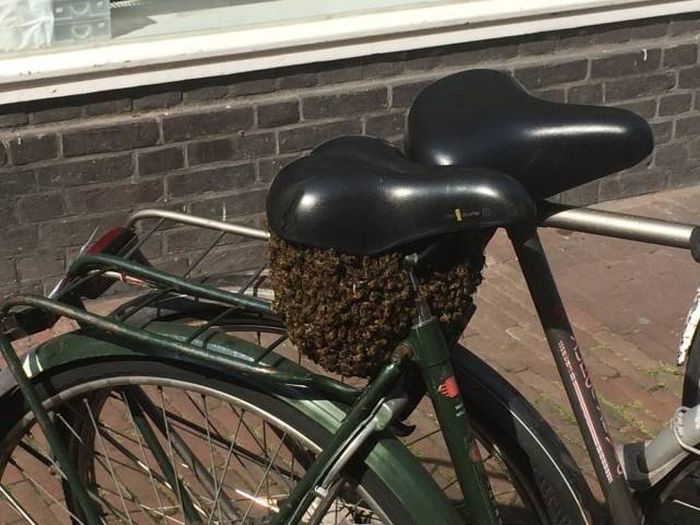 1504254499_podborka_dnevnaya_23.jpg