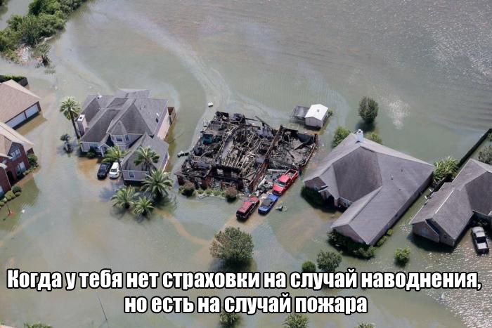 1504605095_podborka_dnevnaya_01.jpg